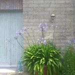 Holiday home Bienvenue Chez Papy Fontaine-Denis-Nuisy